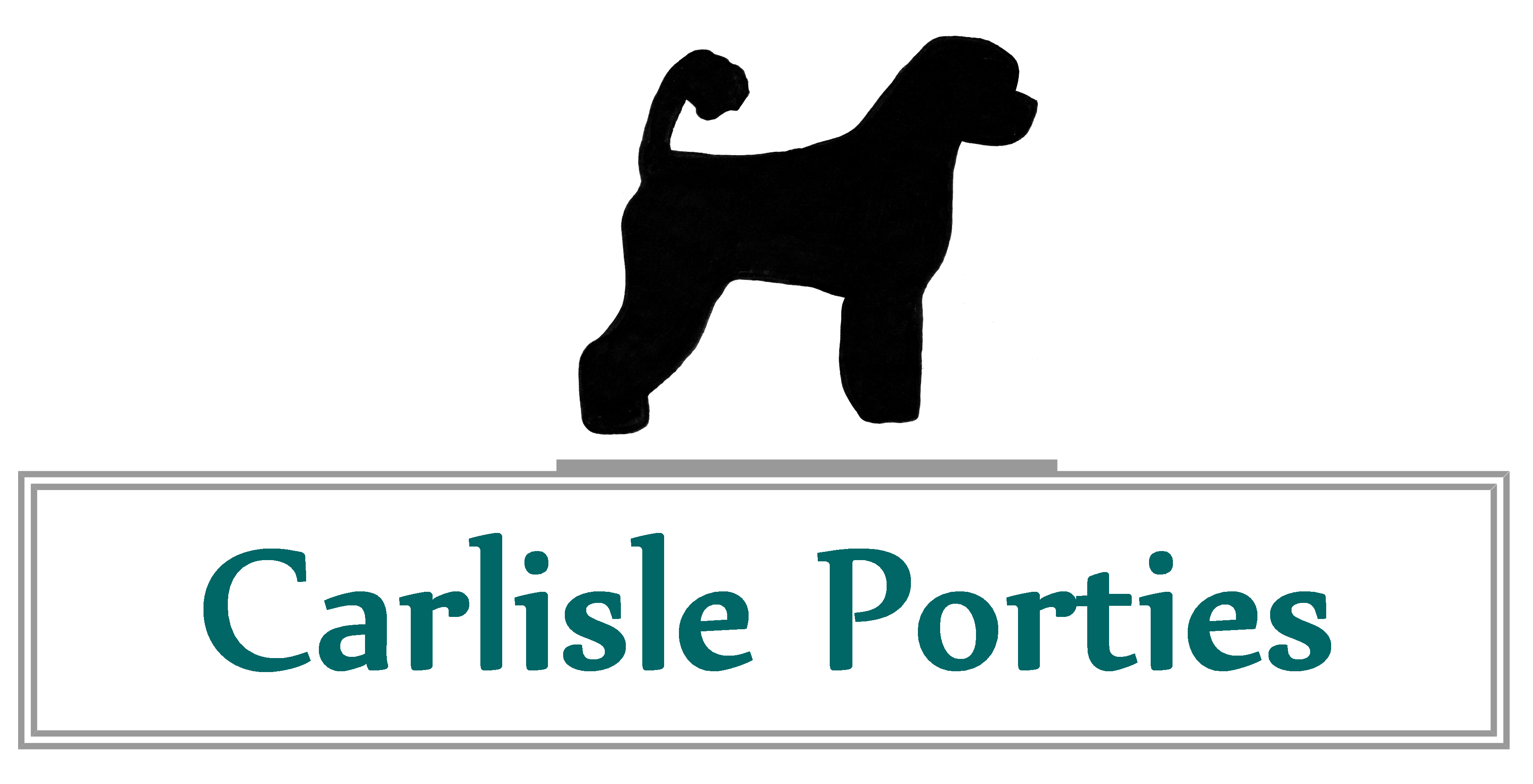 Logo Carlisle Porties